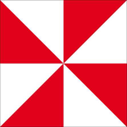 Roggwil TG flag